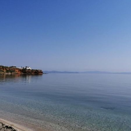 Summer House With A Pool Near Sea, Port & Airport Apartment Rafina  Exterior photo