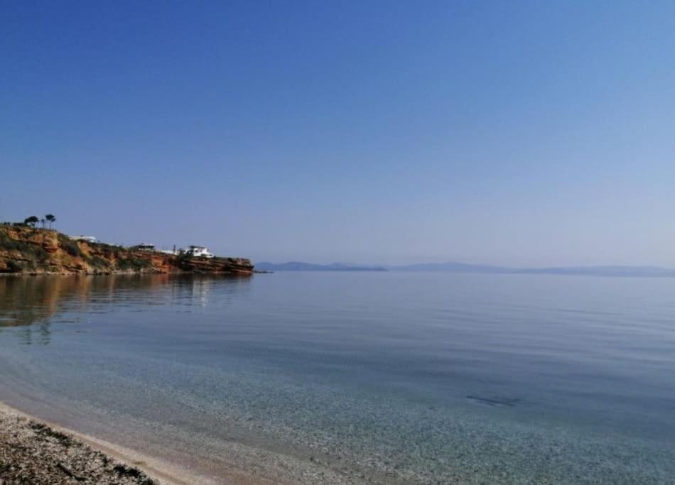 Summer House With A Pool Near Sea, Port & Airport Apartment Rafina  Exterior photo